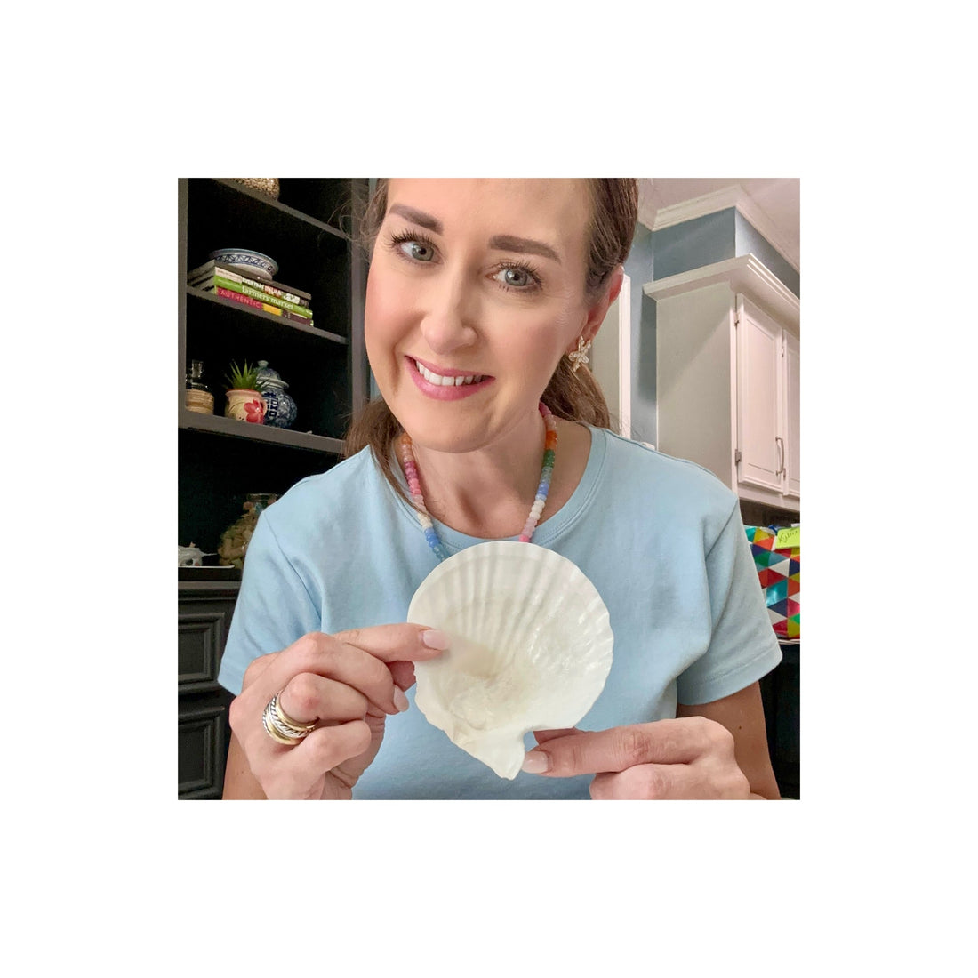 Introducing My Shell Collection