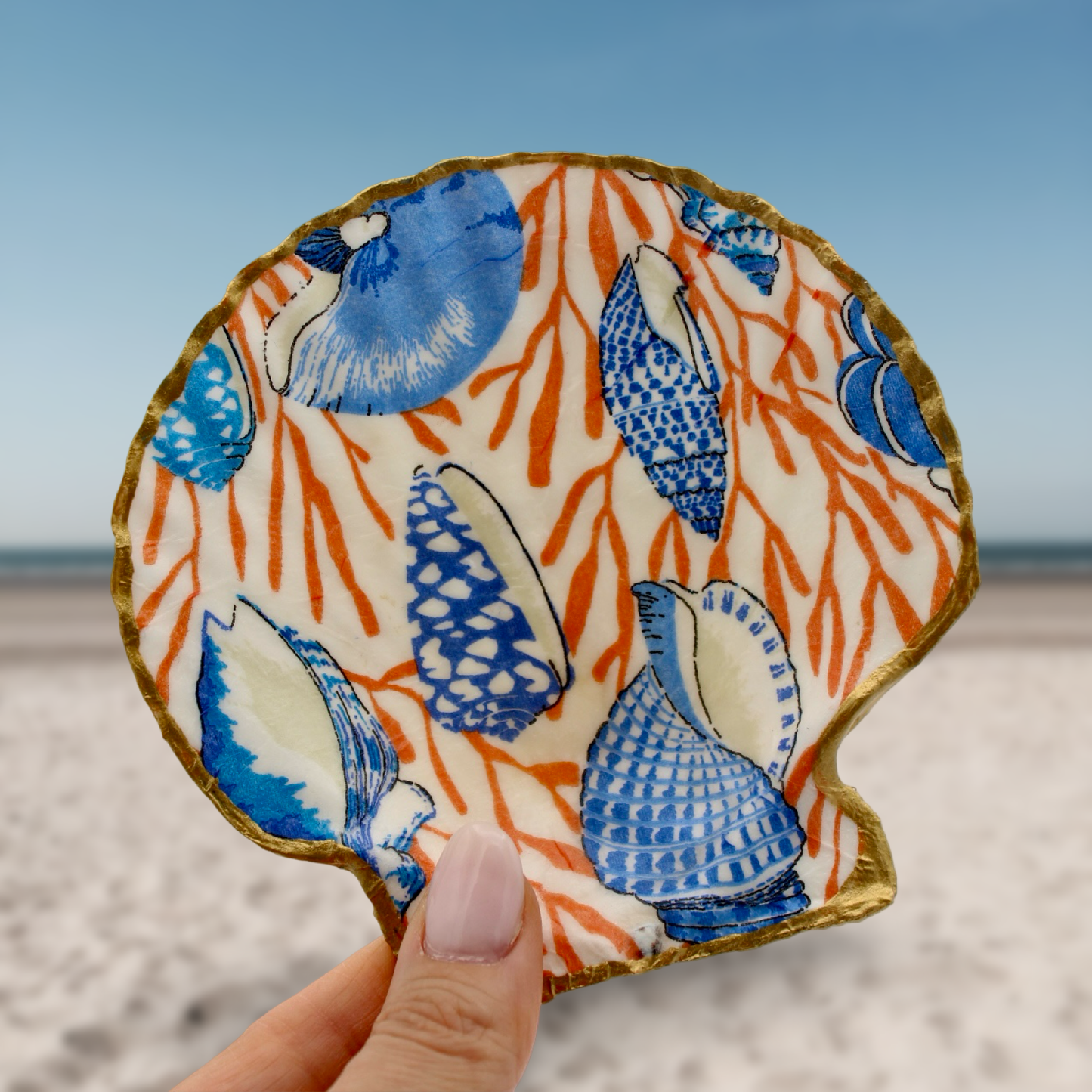 Coral Shell Jewelry and Trinket Dish