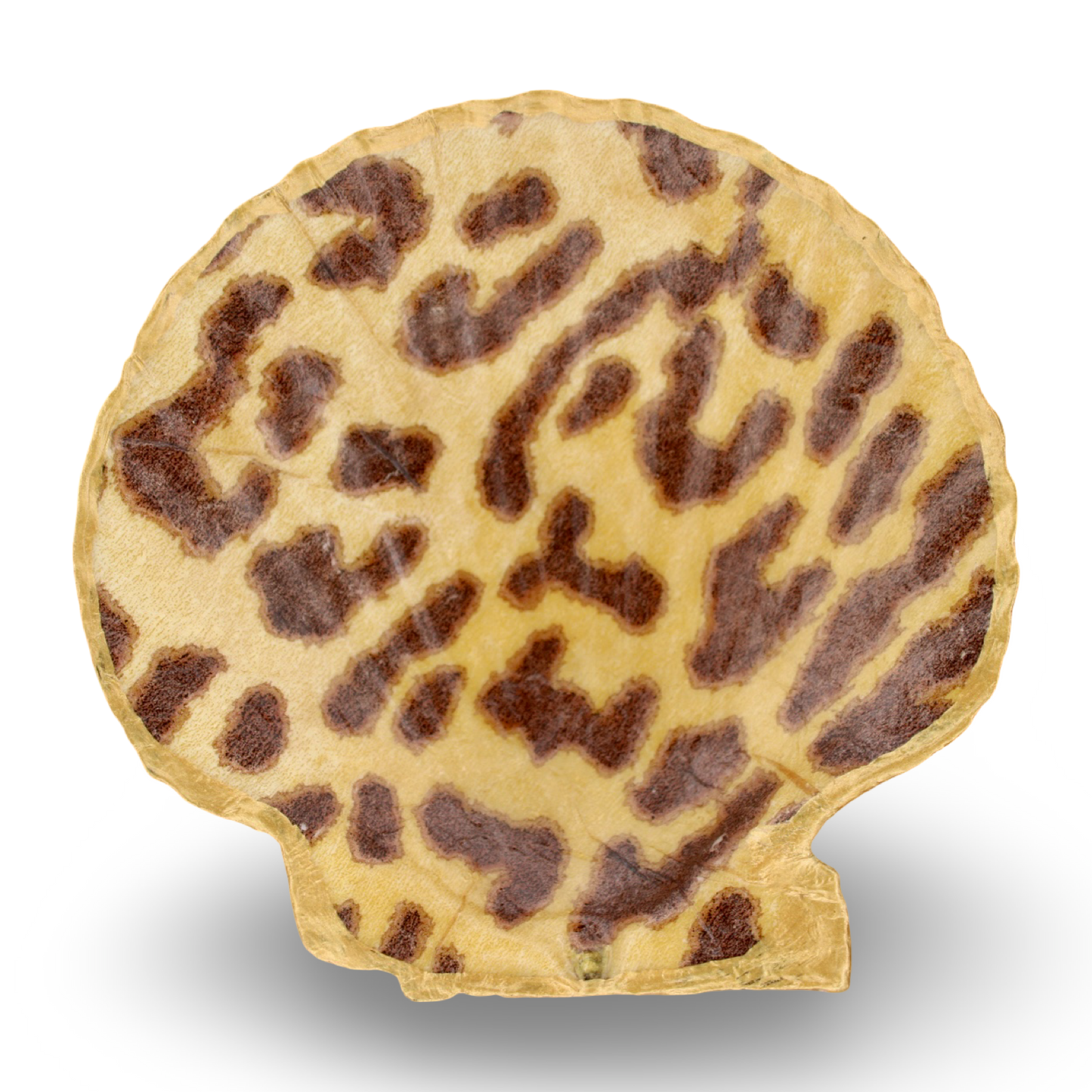 Leopard Shell