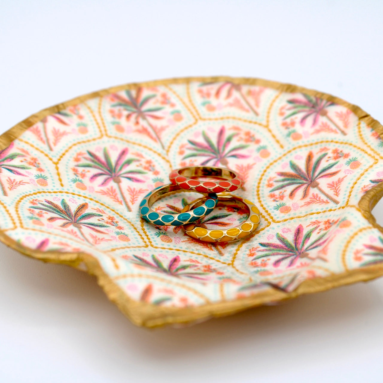 Palm Beach Shell
