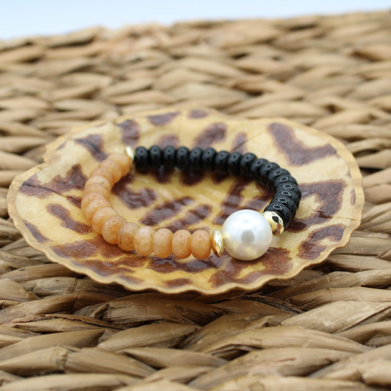 Leopard Shell