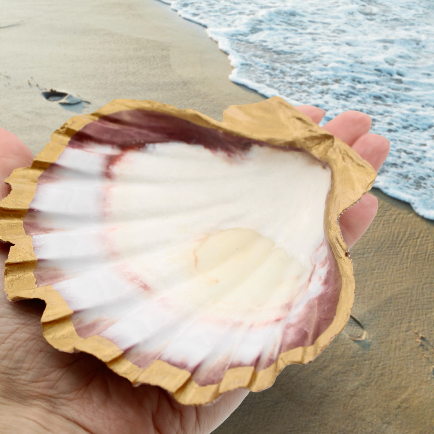 Oversized Lions Paw Shell Jewelry and Trinket Dish