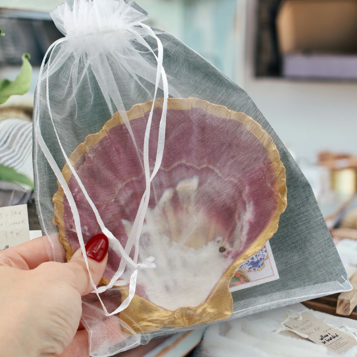 Oversized Lions Paw Shell Jewelry and Trinket Dish