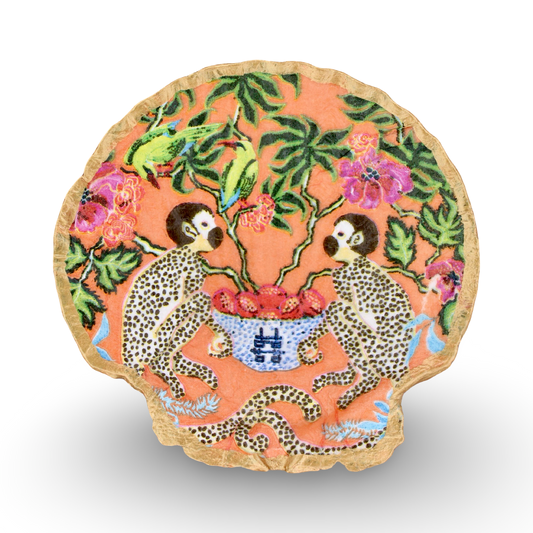 Tropical Monkey Shell