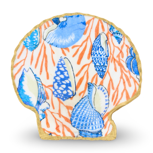 Multi Shell Jewelry and Trinket Dish