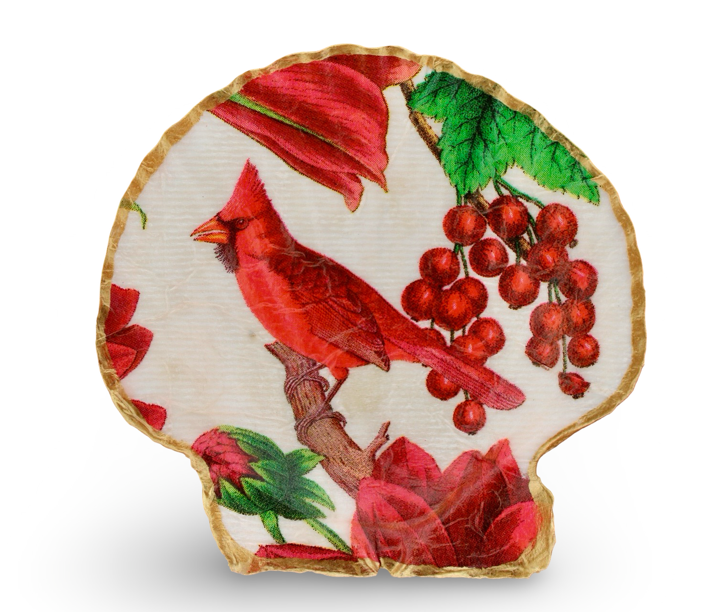 Winter Cardinal Shell - 3 Designs