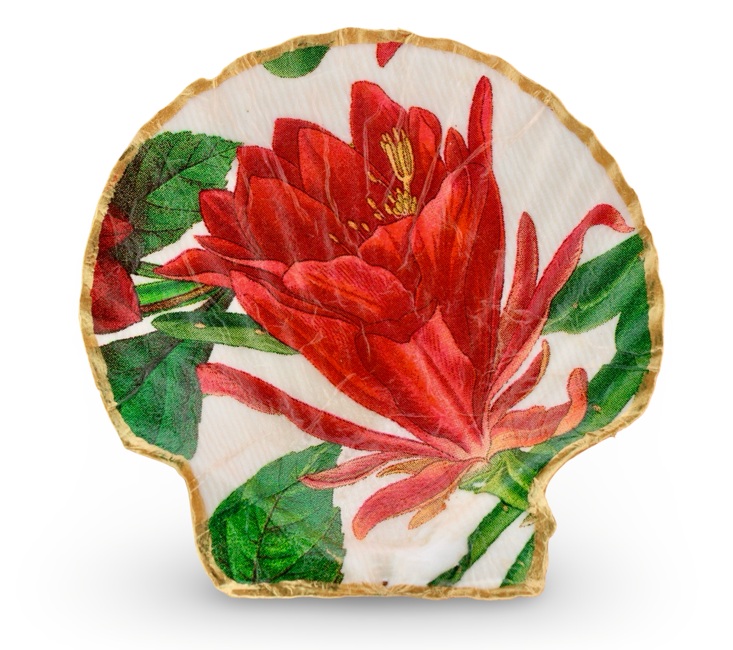 Winter Cardinal Shell - 3 Designs